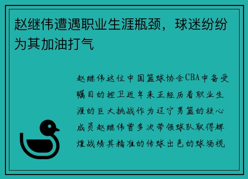 赵继伟遭遇职业生涯瓶颈，球迷纷纷为其加油打气