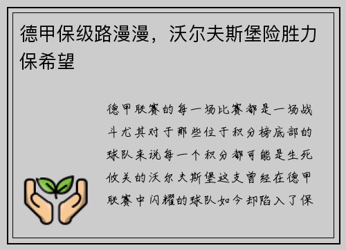 德甲保级路漫漫，沃尔夫斯堡险胜力保希望