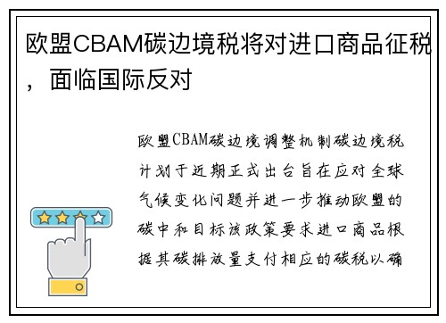 欧盟CBAM碳边境税将对进口商品征税，面临国际反对