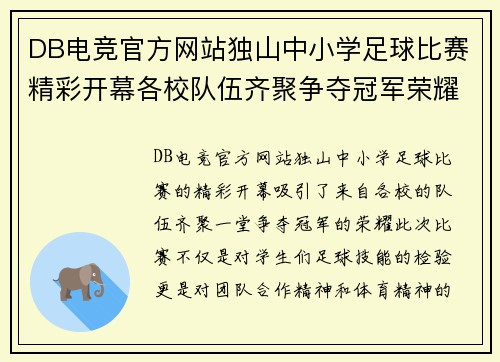 DB电竞官方网站独山中小学足球比赛精彩开幕各校队伍齐聚争夺冠军荣耀